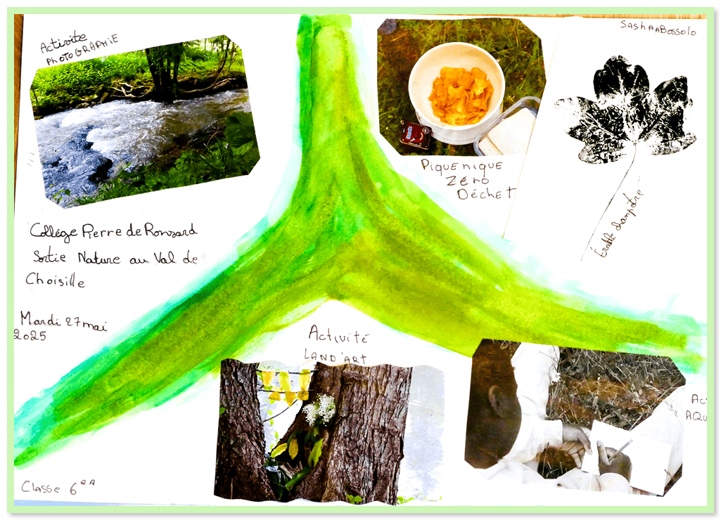 Image is not available