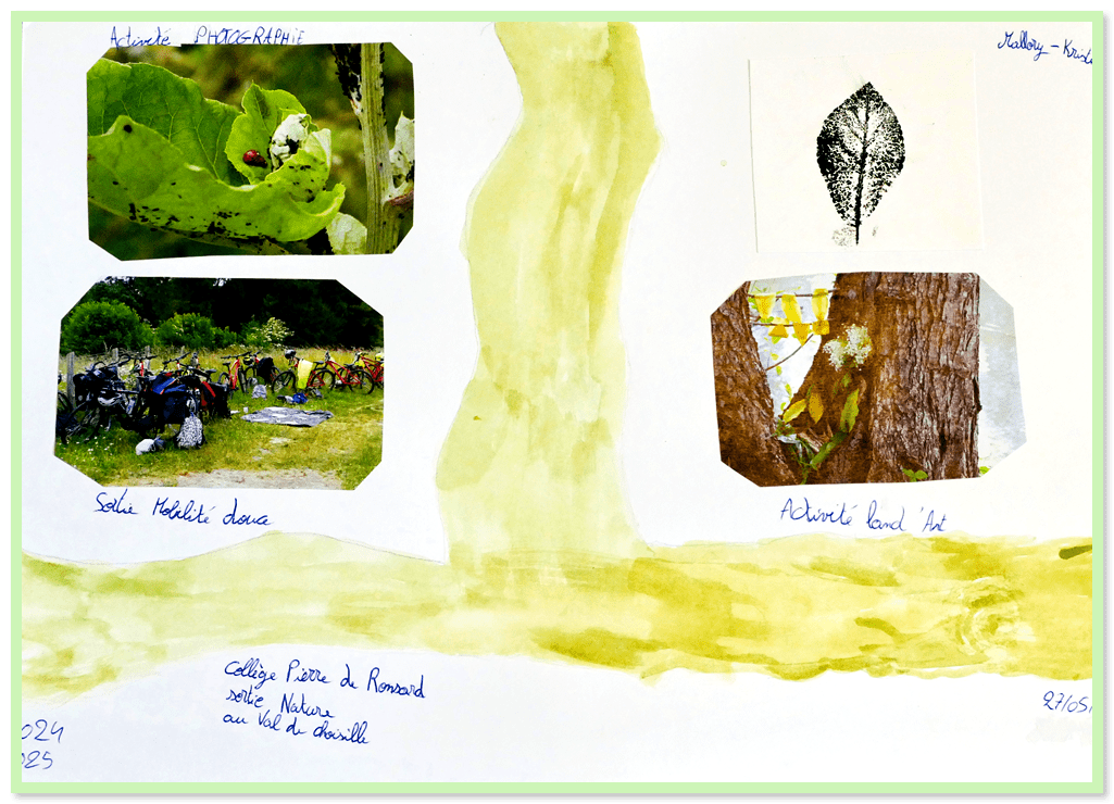 Image is not available