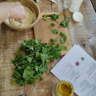 Le pouvoir des plantes - collège au supérieur