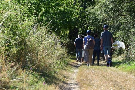 Rando&rsquo;nature &ndash; CP au sup&eacute;rieur